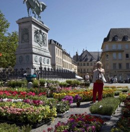 Place Guillaume II market in Luxembourg City